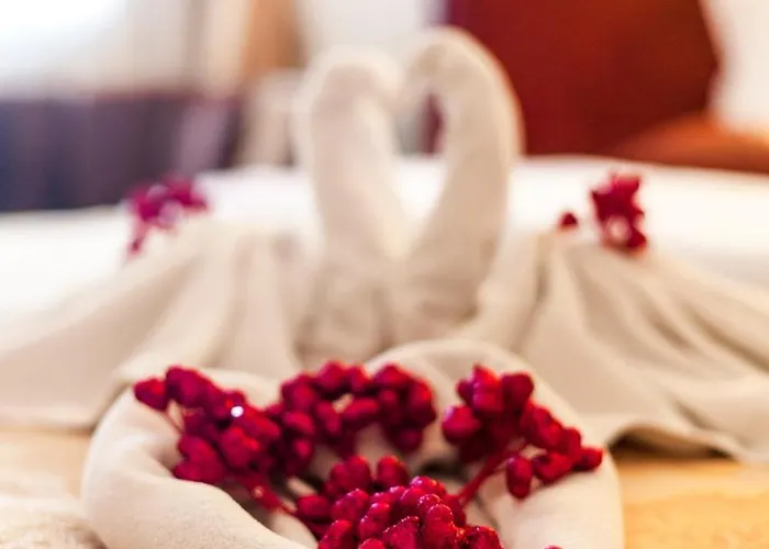 Hotel Mara Palaca 3*